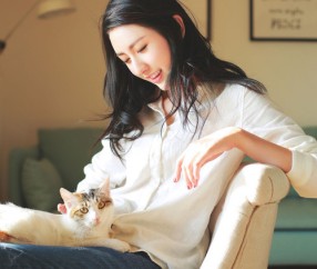 试管颜色各代表什么