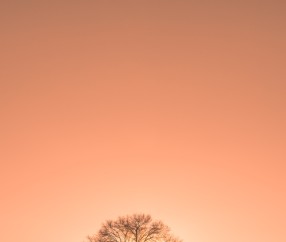 合肥6家不排队供卵机构公布，选择三代试管供卵需要多少钱！