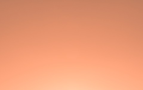 监测卵泡已排卵（排卵监测卵泡已排）